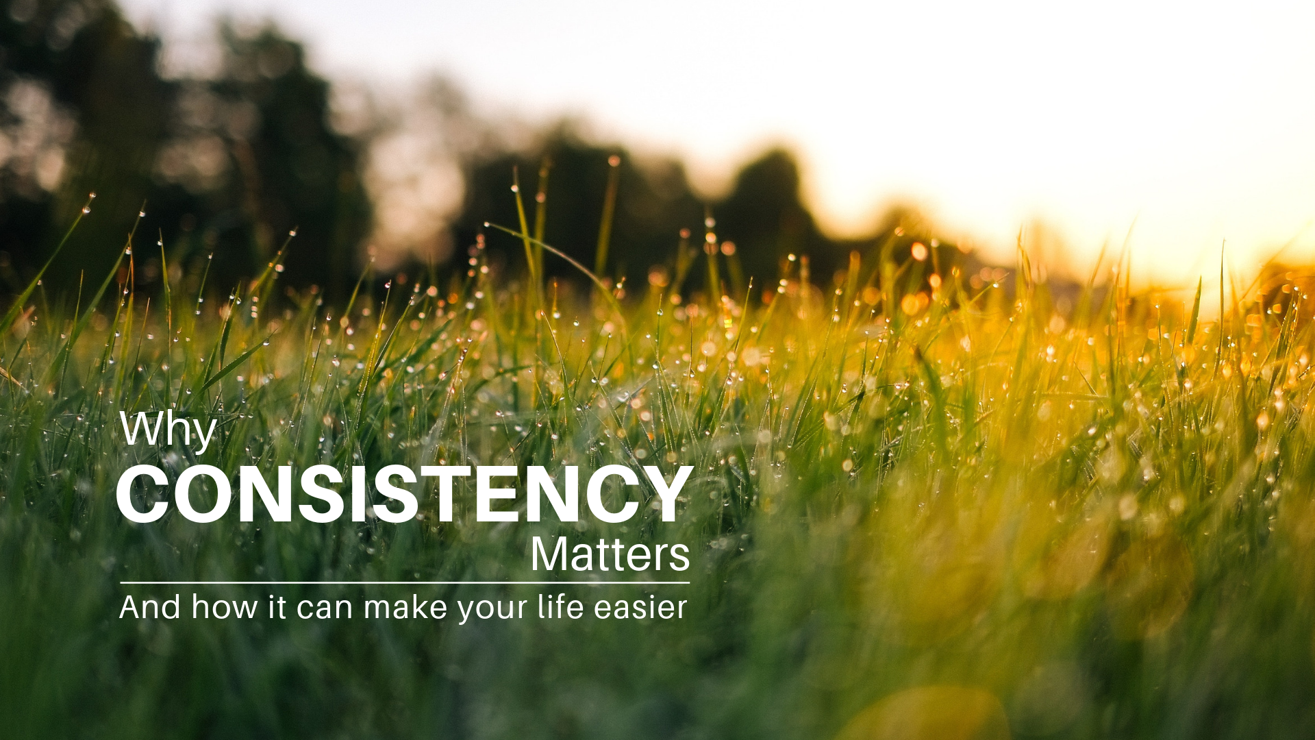 Why Consistency Matters
